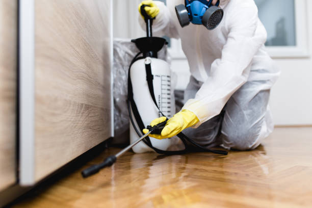 Professional Pest Control in Hidalgo, TX