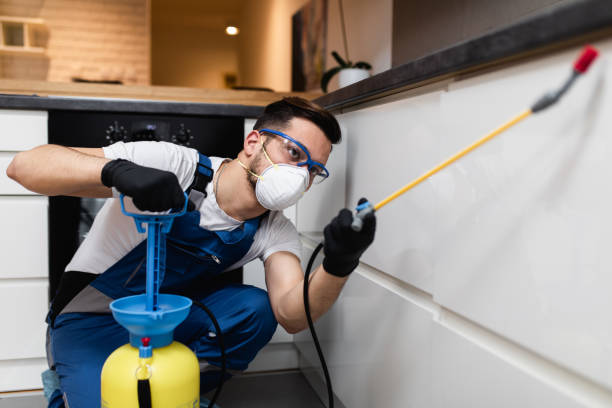 Best Pest Control Near Me in Hidalgo, TX