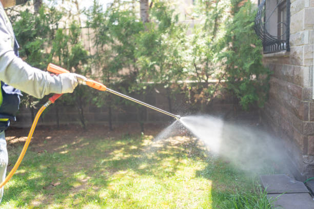Best Pest Removal Services  in Hidalgo, TX