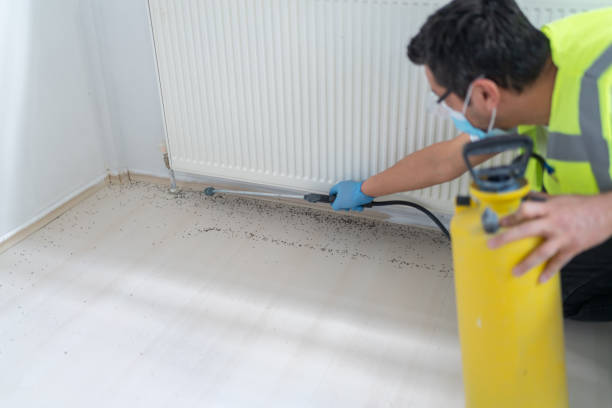 Best Commercial Pest Control Services  in Hidalgo, TX