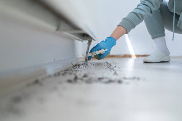 Best Pest Prevention Services  in Hidalgo, TX